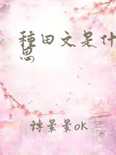 种田文是什么意思