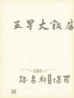五星大饭店小说
