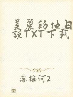 美丽的他日剧小说TXT下载