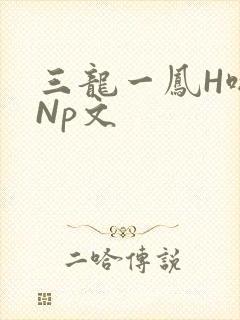 三龙一凤H啪肉Np文