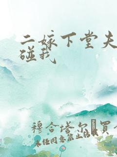 二嫁下堂夫君别碰我