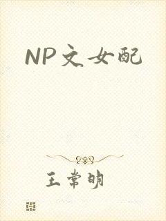 NP文女配