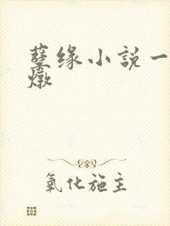 孽缘小说一家乱炖