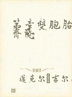 第章双胞胎姐妹齐飞