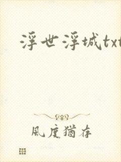 浮世浮城txt