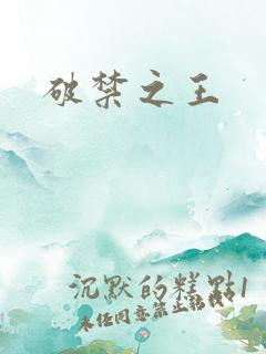 破禁之王