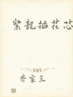 紫龙插花芯方正