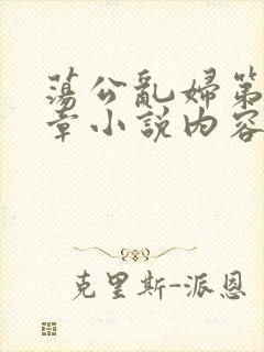 荡公乱妇第51章小说内容