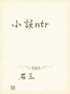小说ntr