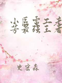 小区电工老周刘芳最强王者