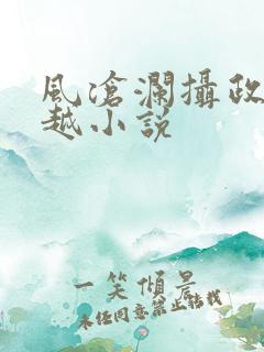 风沧澜摄政王穿越小说