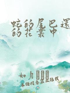 蛇的尾巴还在我的花丛中