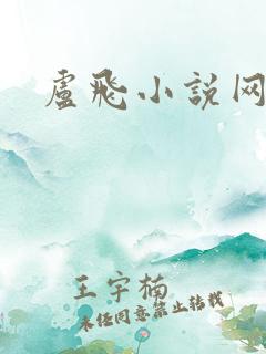 卢飞小说网