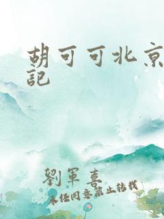 胡可可北京成功记