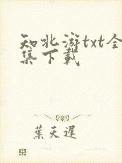 知北游txt全集下载