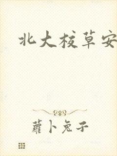 北大校草安允泽