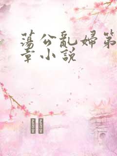 荡公乱妇第51章小说