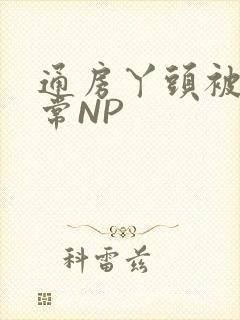 通房丫头被肉日常NP