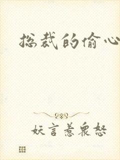 总裁的偷心娇妻