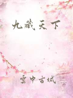 九藏天下