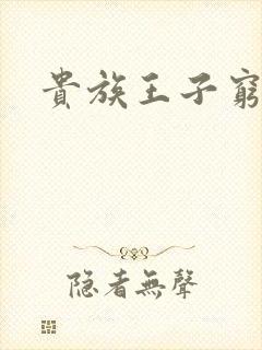 贵族王子穷公主