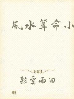 风水算命小说