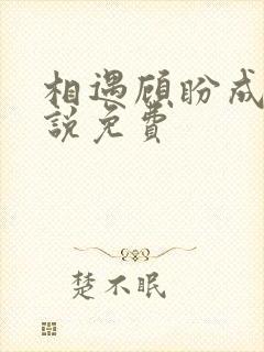 相遇顾盼成欢小说免费