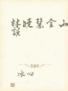 林晓慧金山的小说