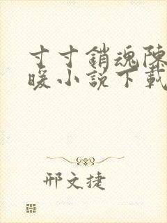 寸寸销魂陈聪王暖小说下载