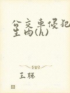 公交车侵犯小男生肉(h)