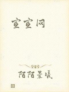 宣宣网