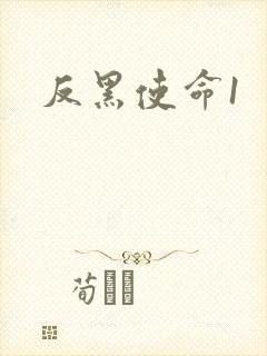 反黑使命1