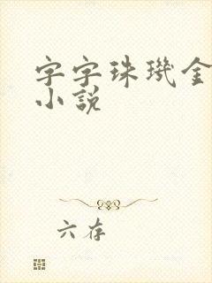 字字珠玑金银花小说