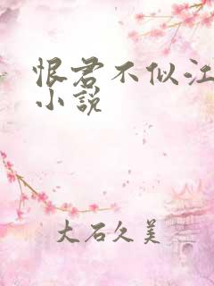 恨君不似江楼月小说