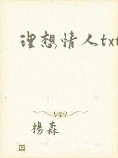 理想情人txt
