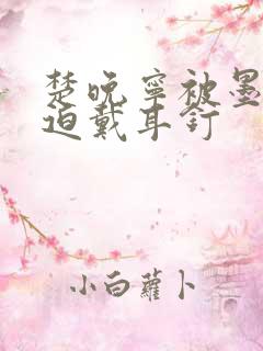 楚晚宁被墨燃强迫戴耳钉