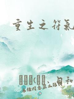 重生之符气冲天