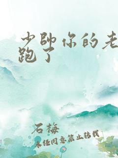 少帅你的老婆又跑了