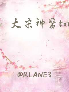 大宋神医txt