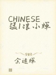 CHINESE猛1浪小辉