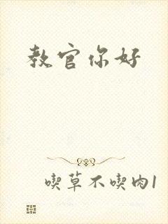 教官你好