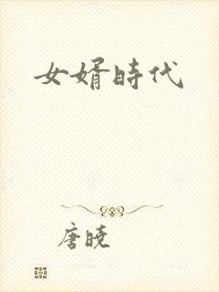 女婿时代