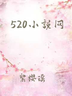520小说网