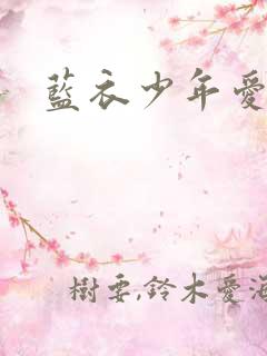 蓝衣少年爱