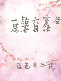 一胎六宝爸比好厉害目录