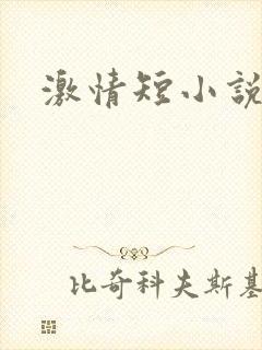激情短小说
