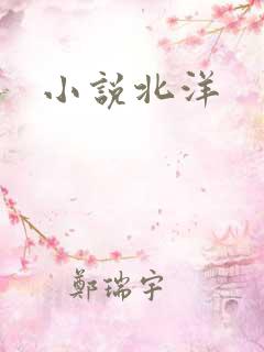 小说北洋