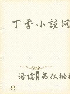 丁香小说网
