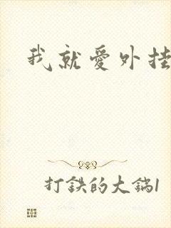 我就爱外挂网