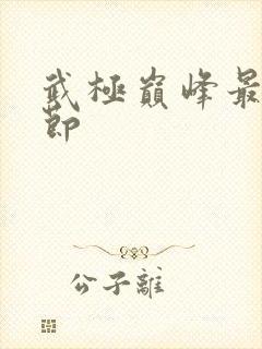 武极巅峰最新章节